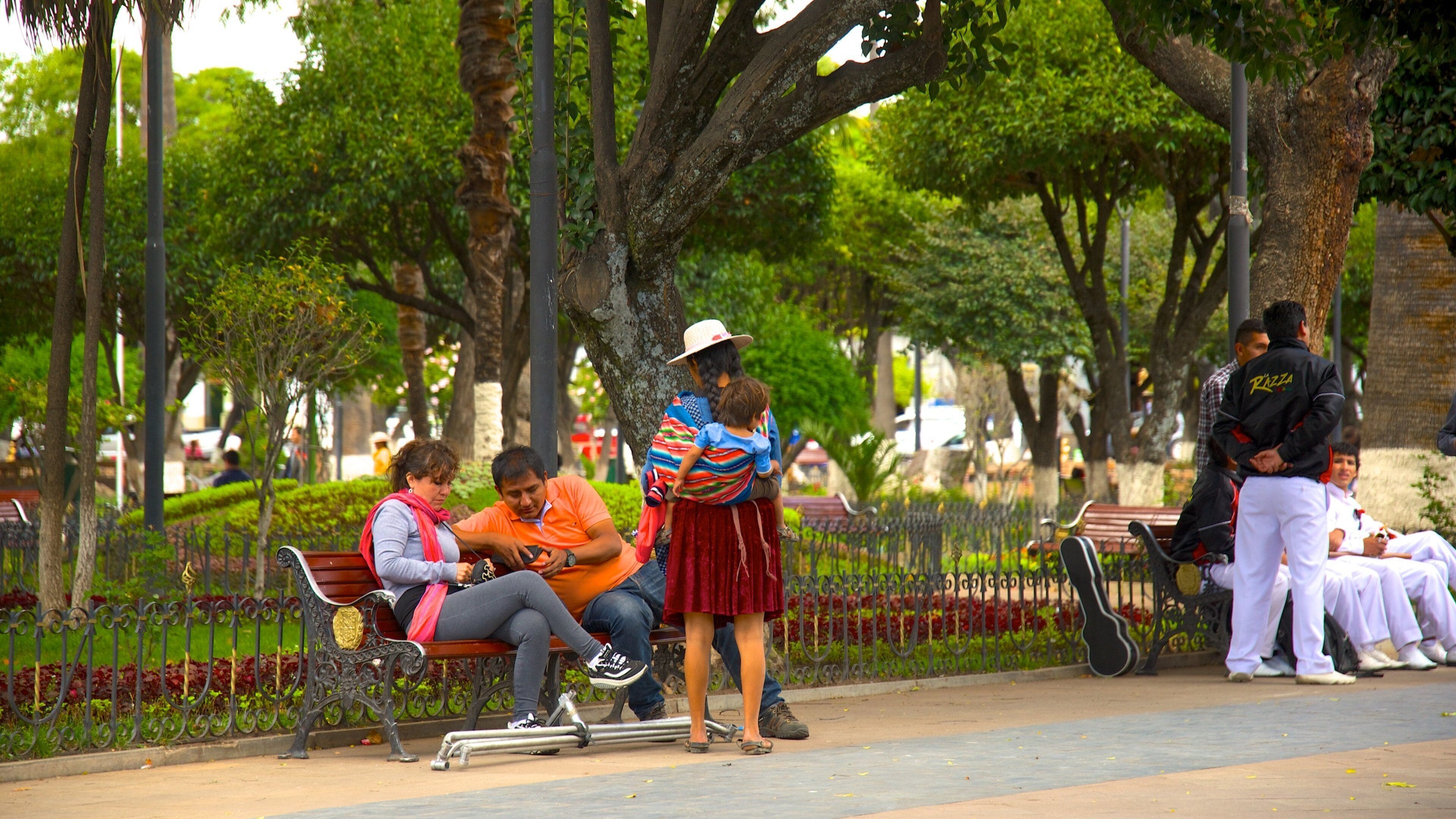 Plaza de 25 de Mayo featuring a garden as well as a small group of people