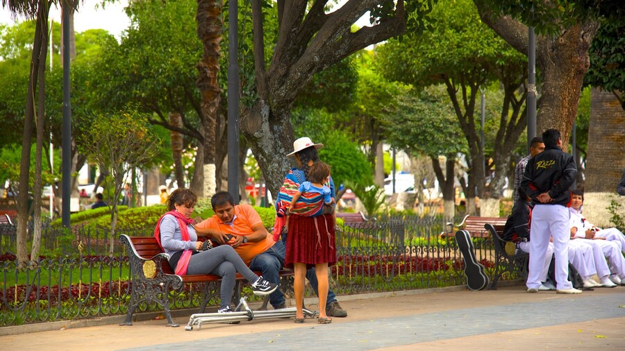 Plaza de 25 de Mayo featuring a garden as well as a small group of people