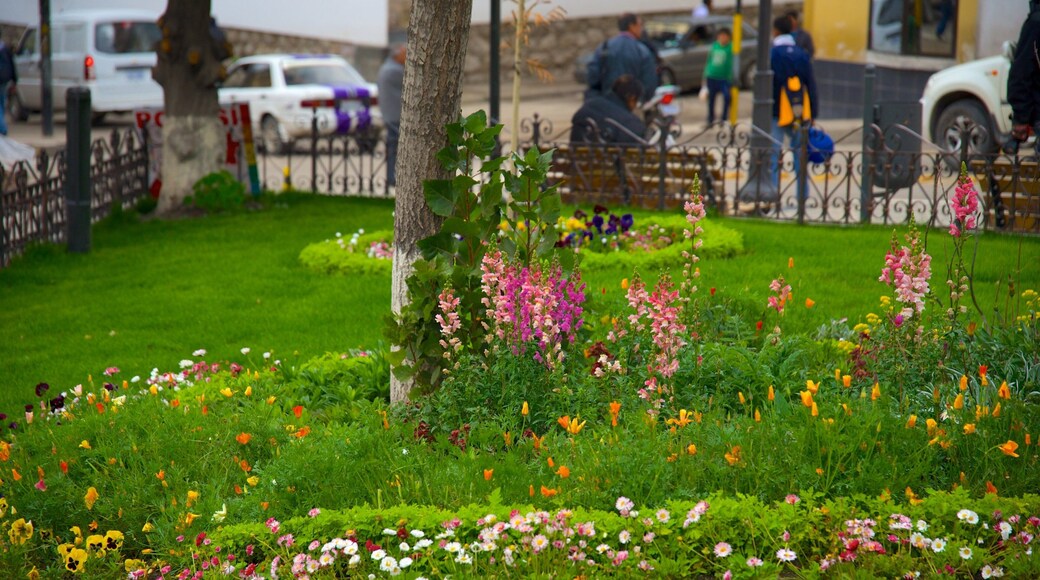 Potosi qui includes jardin