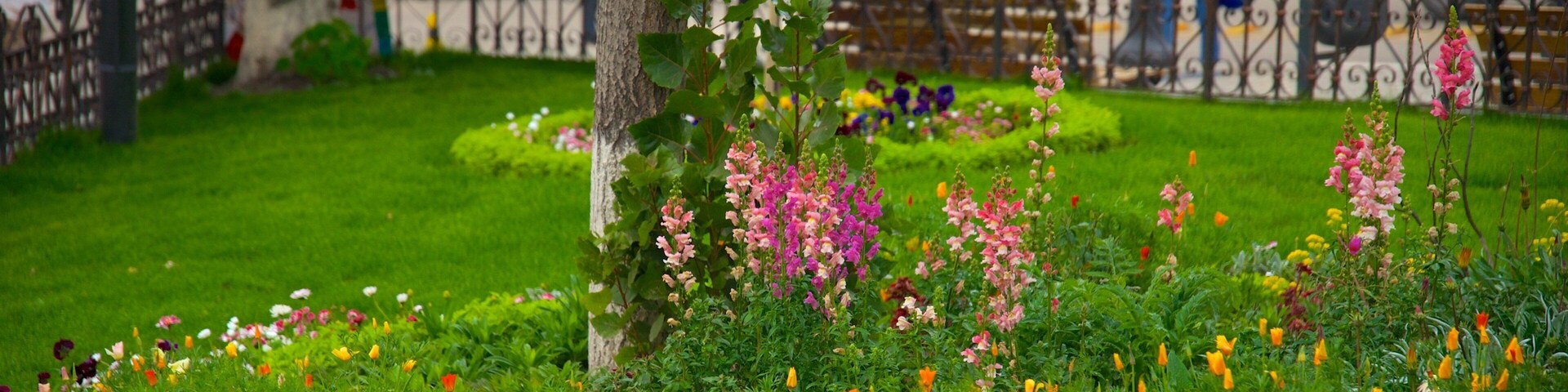 Potosi caracterizando um parque