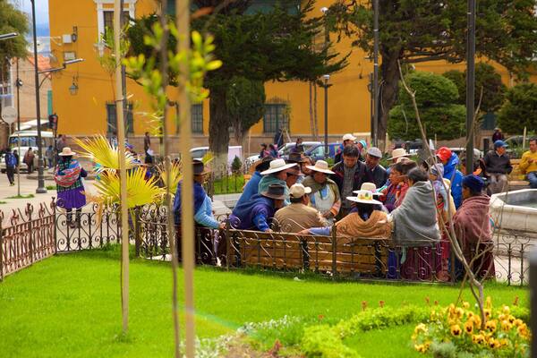 Potosi featuring a park as well as a large group of people