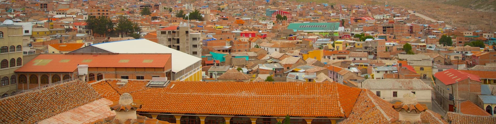 A cityscape with terracotta-roofed buildings, a prominent mountain in the background, and a cloudy sky.