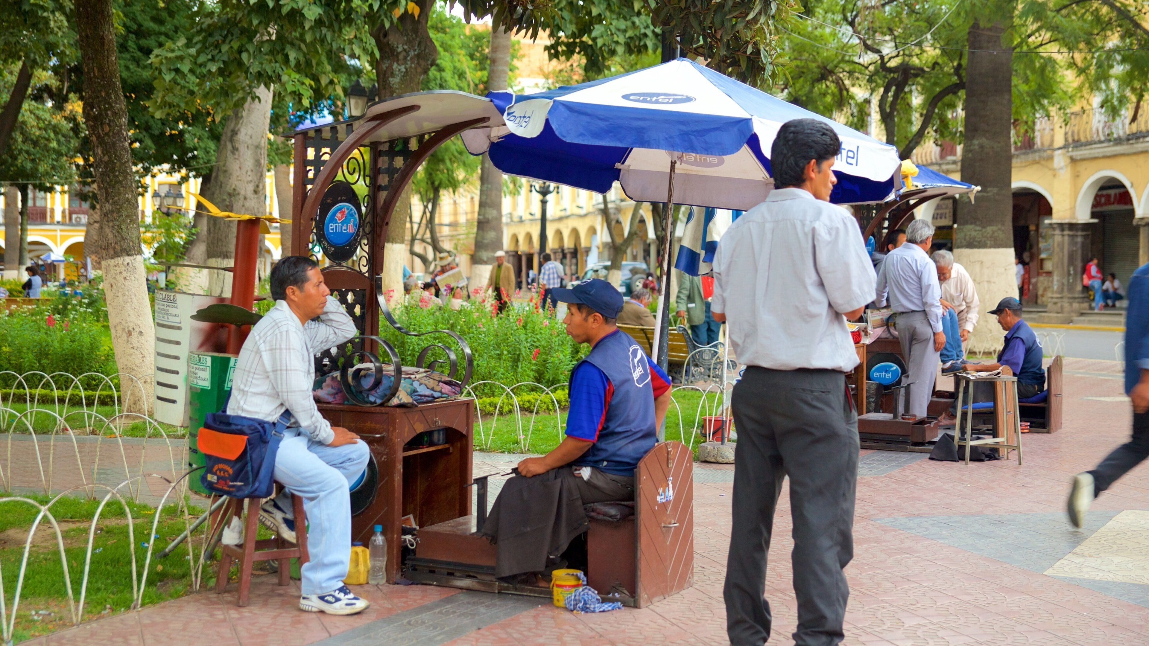 Plaza 14 de Septiembre which includes a garden as well as a small group of people