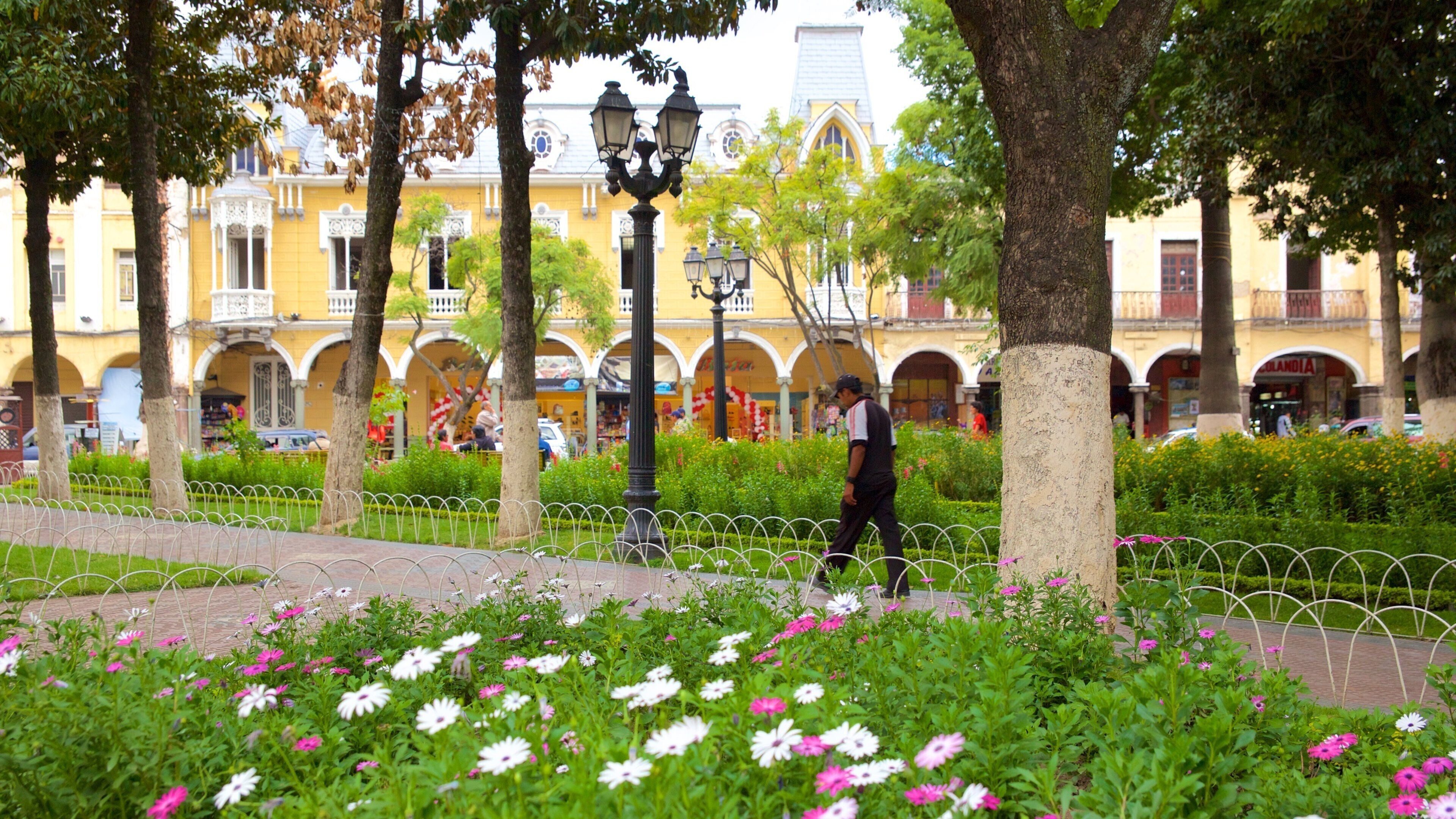 Plaza 14 de Septiembre featuring a garden