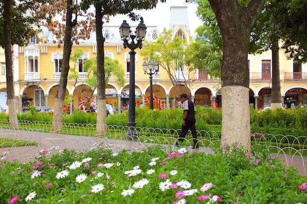 Plaza 14 de Septiembre featuring a garden