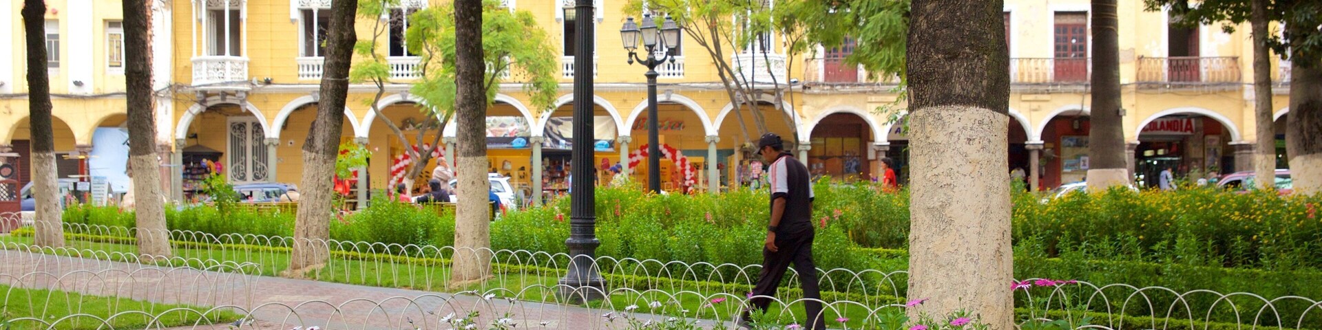 Plaza 14 de Septiembre featuring a garden