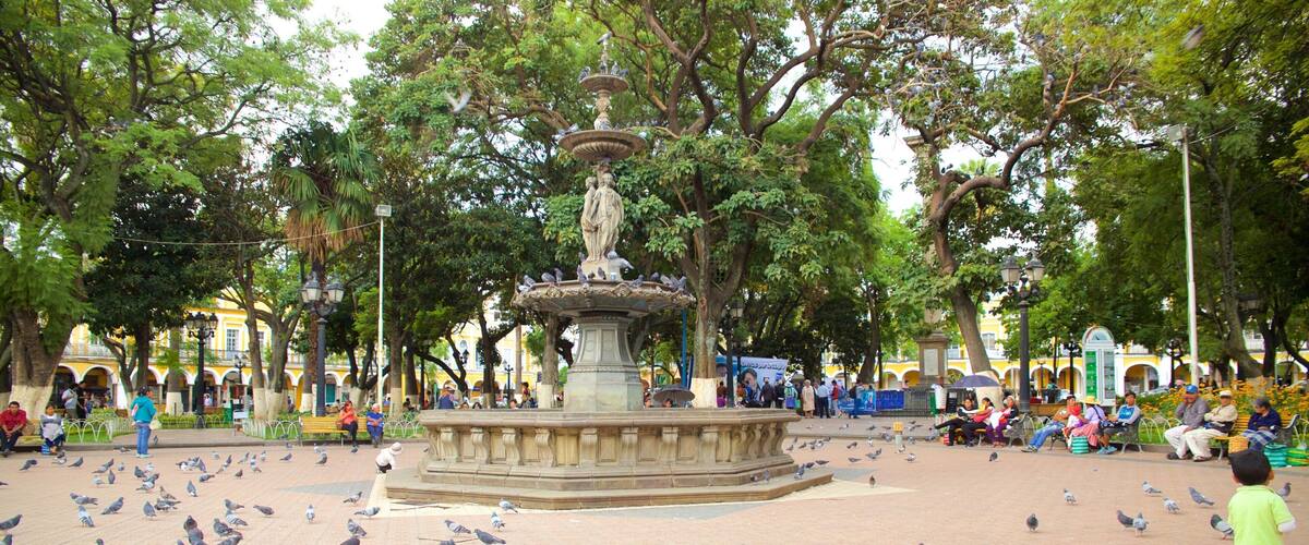 Plaza 14 de Septiembre showing a square or plaza and bird life