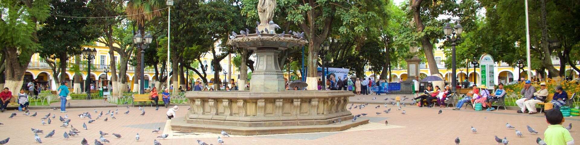 Plaza 14 de Septiembre showing a square or plaza and bird life