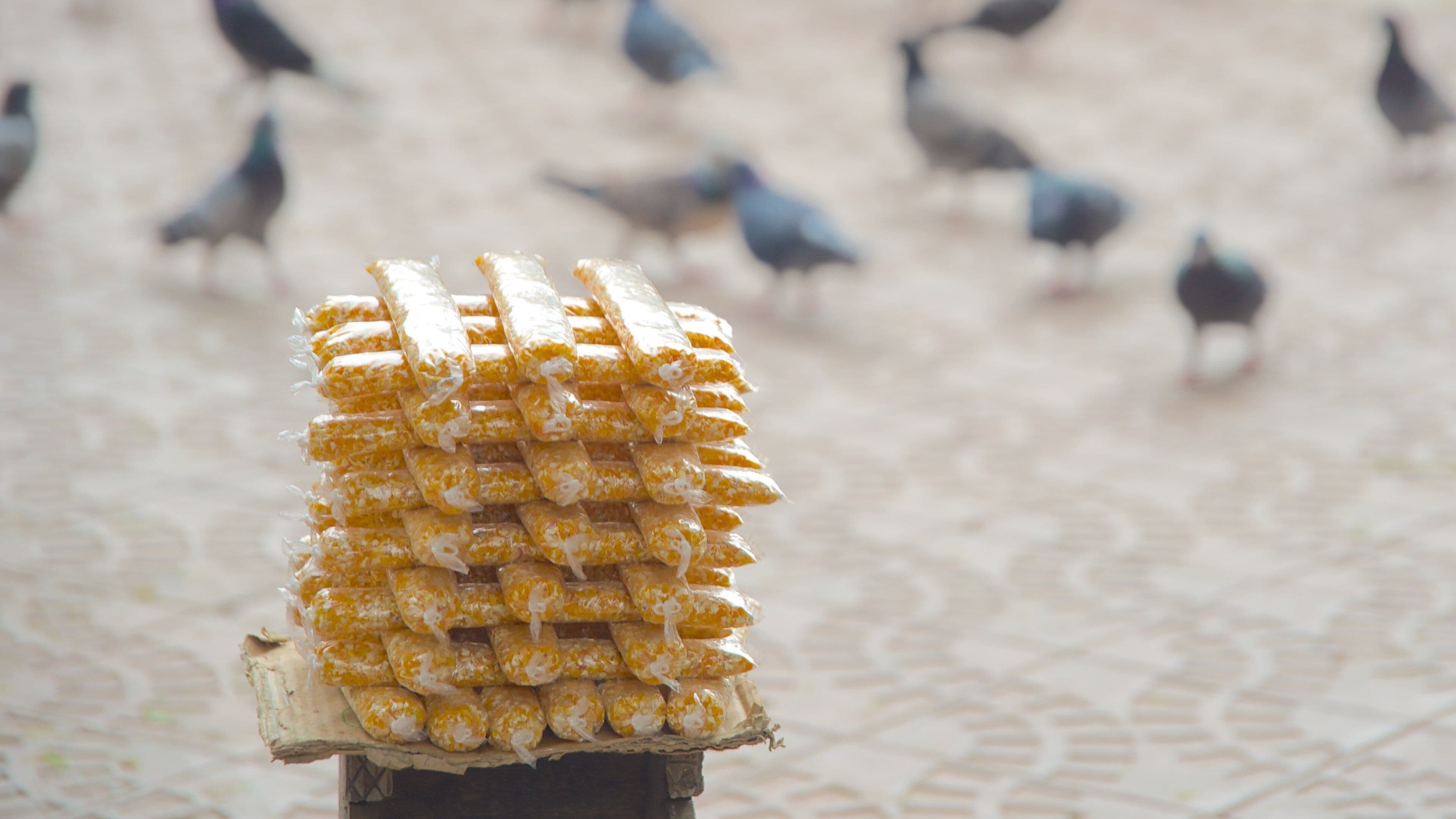 Plaza 14 de Septiembre featuring food