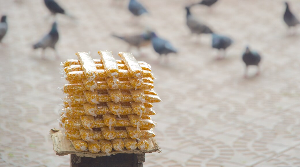 Plaza 14 de Septiembre featuring food