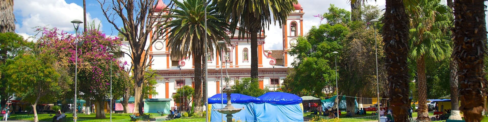 Plaza Colon featuring a park