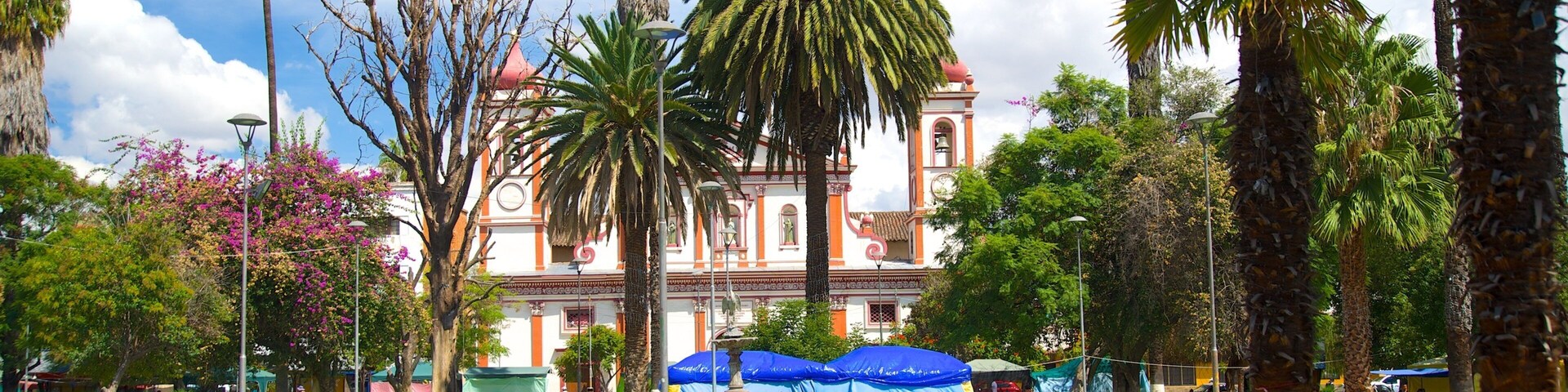 Plaza Colon featuring a park