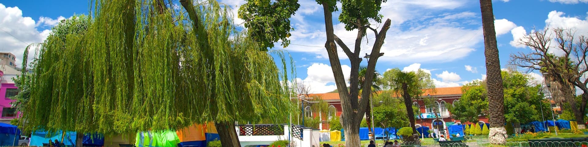 Plaza Colon mit einem Garten