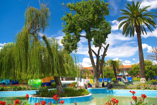 Plaza Colon joka esittää puutarha