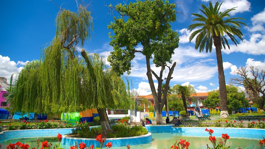 Plaza Colón mostrando un parque