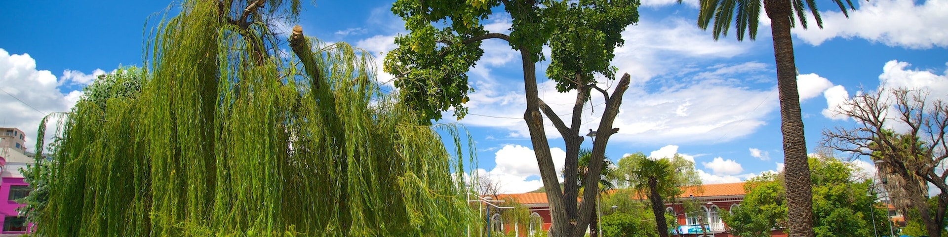 Plaza Colon featuring a park