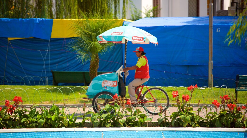 Plaza Colon sowie einzelner Mann