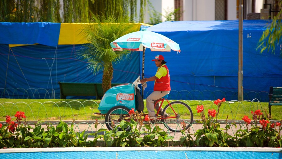 Plaza Colon as well as an individual male