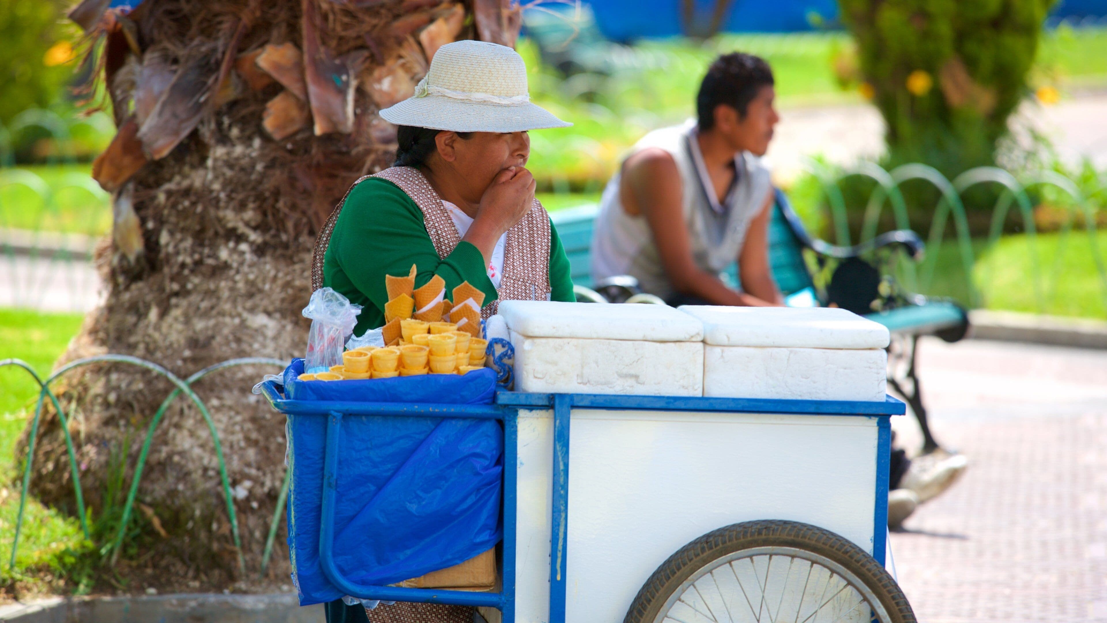 Plaza Colon as well as an individual female