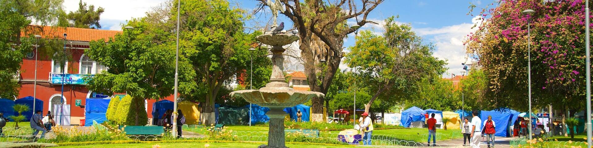 Plaza Colon which includes a garden