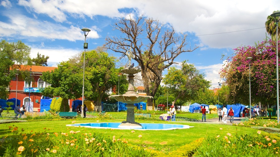 Plaza Colon showing a park