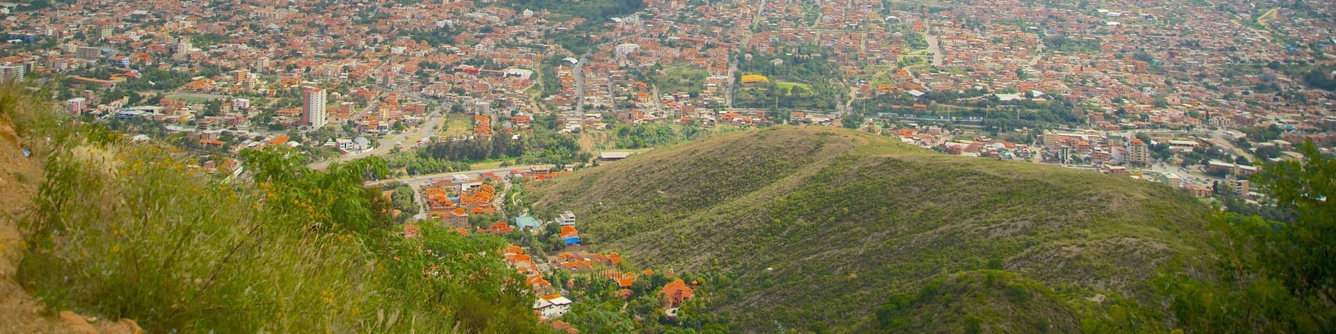 Cristo de la Concordia featuring tranquil scenes and a city