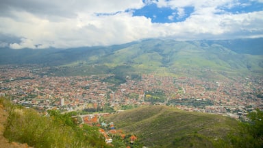 Cristo de la Concordia featuring tranquil scenes and a city