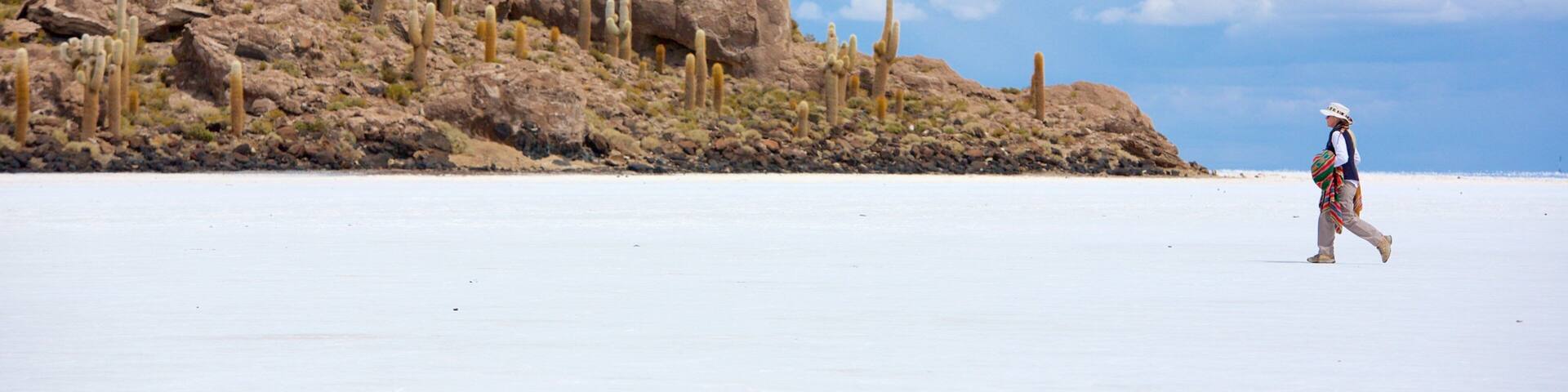 ウユニ 表示 静かな風景