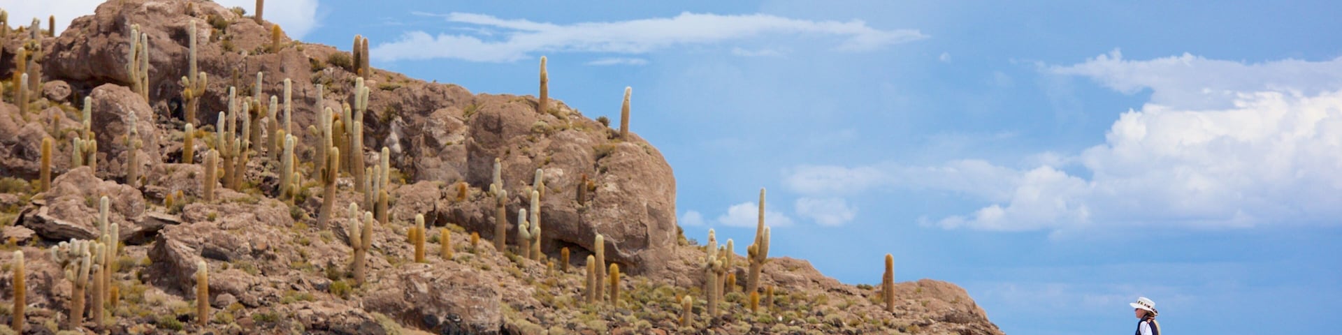 Uyuni que incluye escenas tranquilas