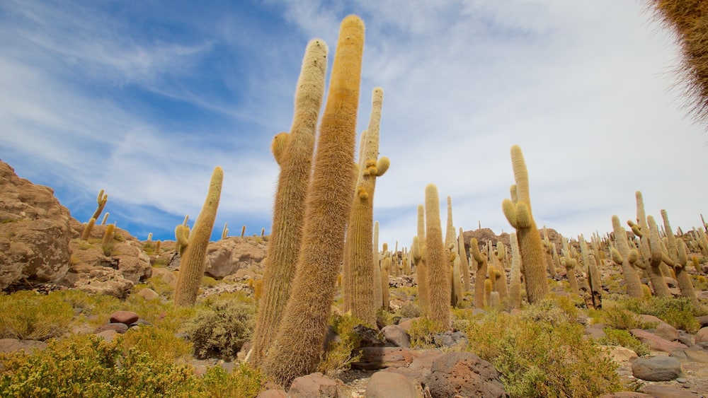 Salar de Uyuni which includes tranquil scenes