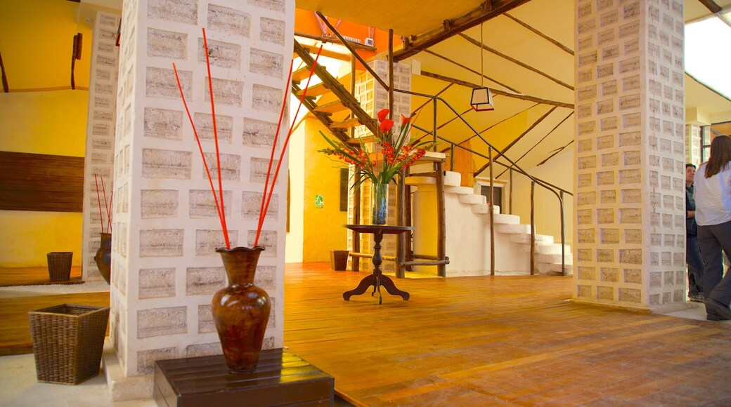 Salar de Uyuni showing interior views