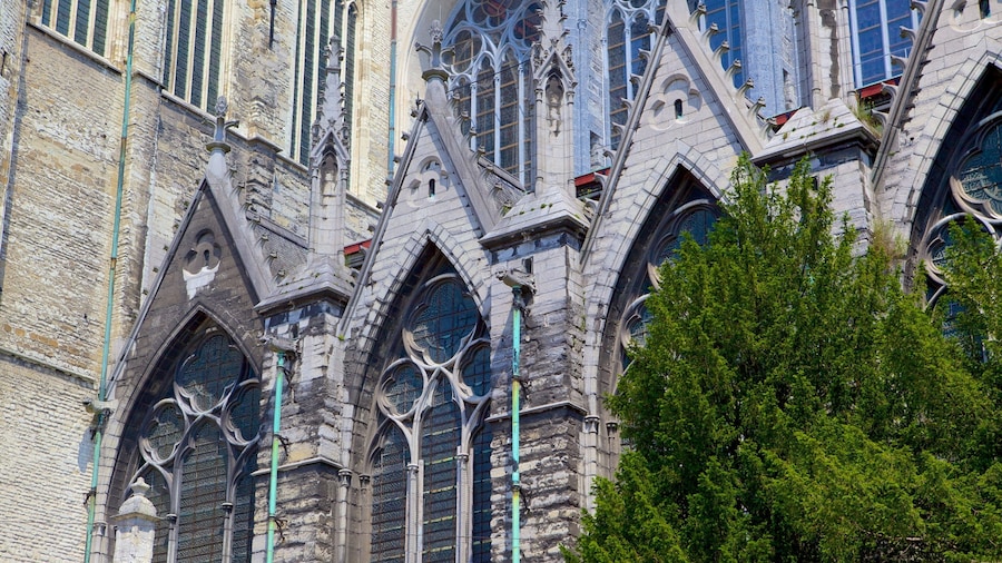 Saint Bavo Cathedral which includes religious aspects, a church or cathedral and heritage architecture