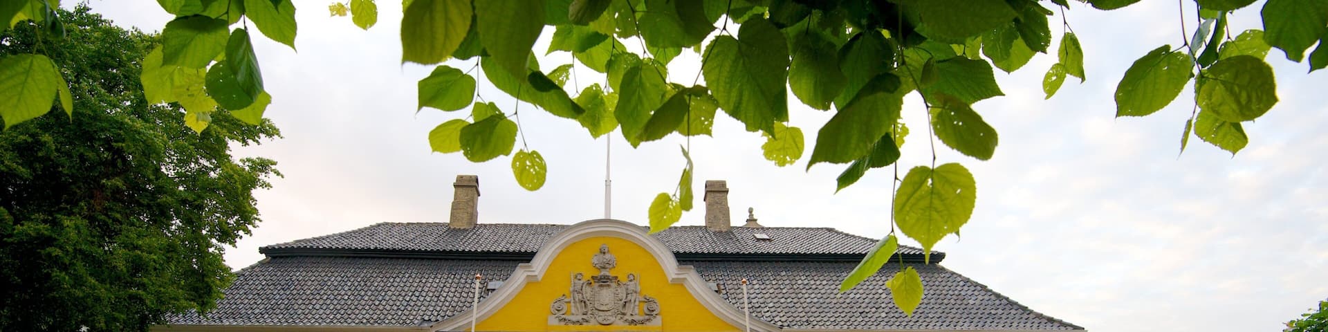 Gammeltorv which includes heritage architecture and a house