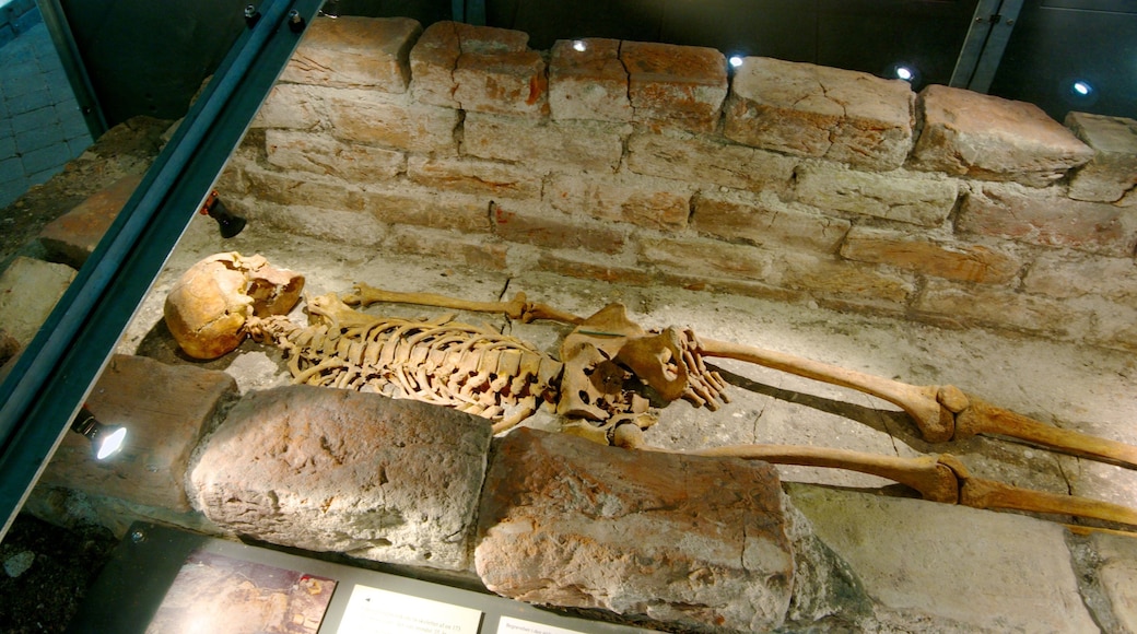 올보르 을 보여주는 실내 전경