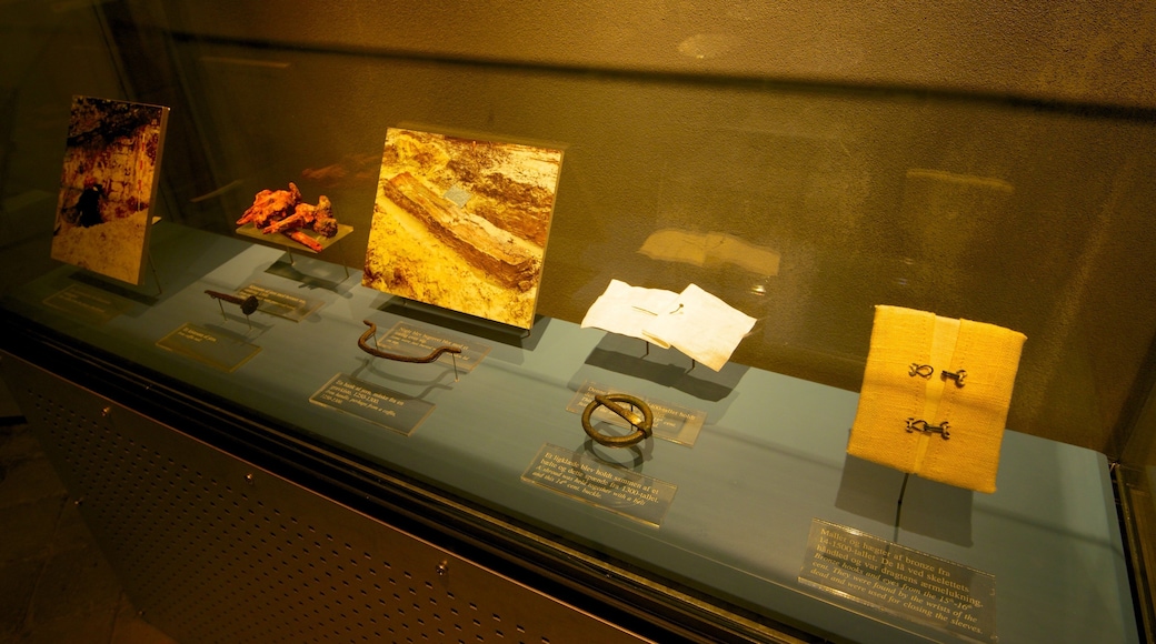 올보르 을 특징 실내 전경