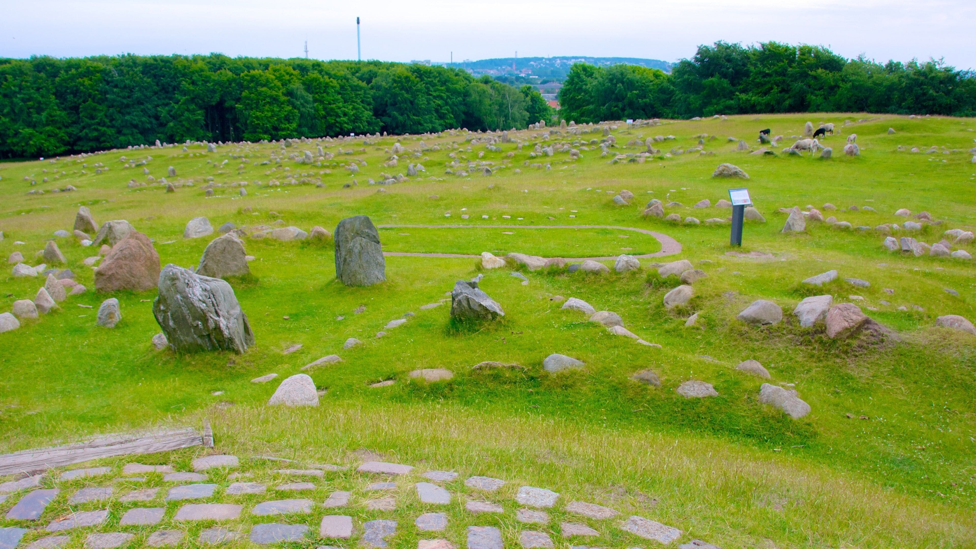 Lindholm Høje som visar stillsam natur och en park