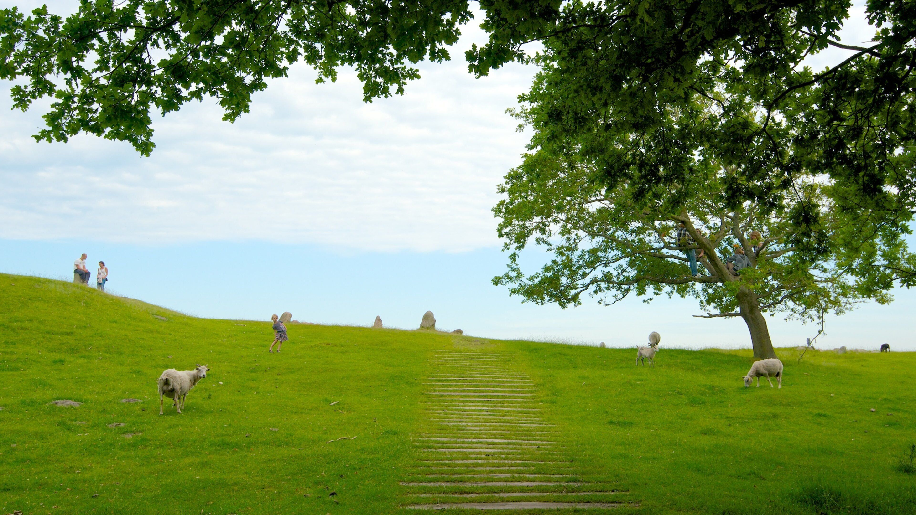 Lindholm Hoje featuring farmland