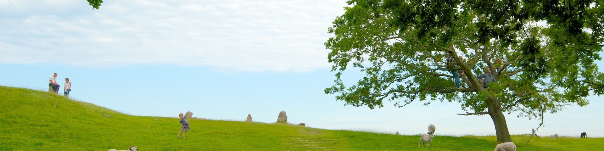 Lindholm Hoje featuring farmland