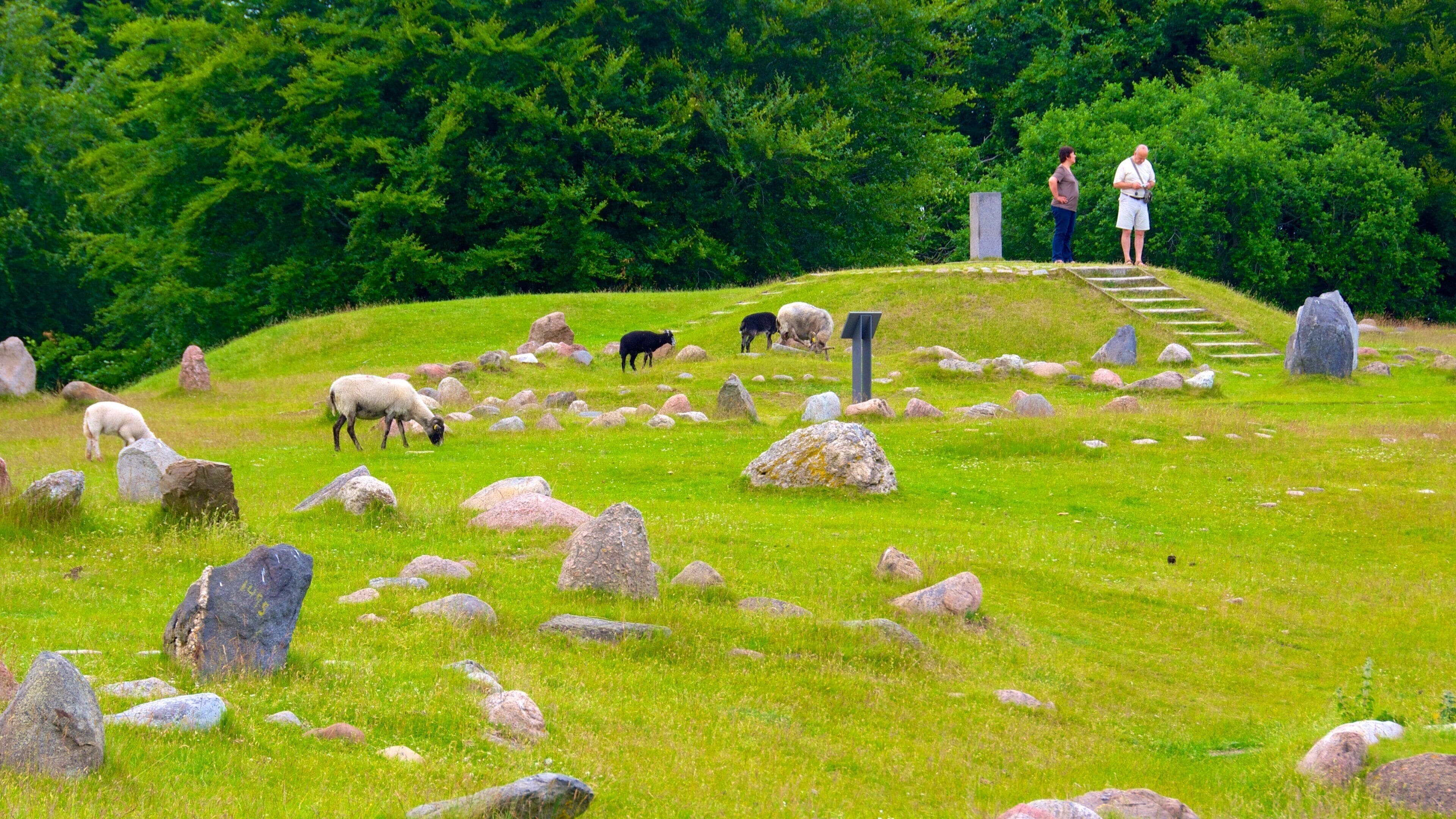 Lindholm Hoje which includes animals and farmland