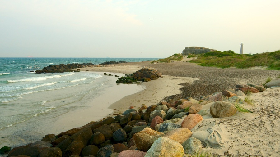 Grenen which includes a sandy beach and rugged coastline