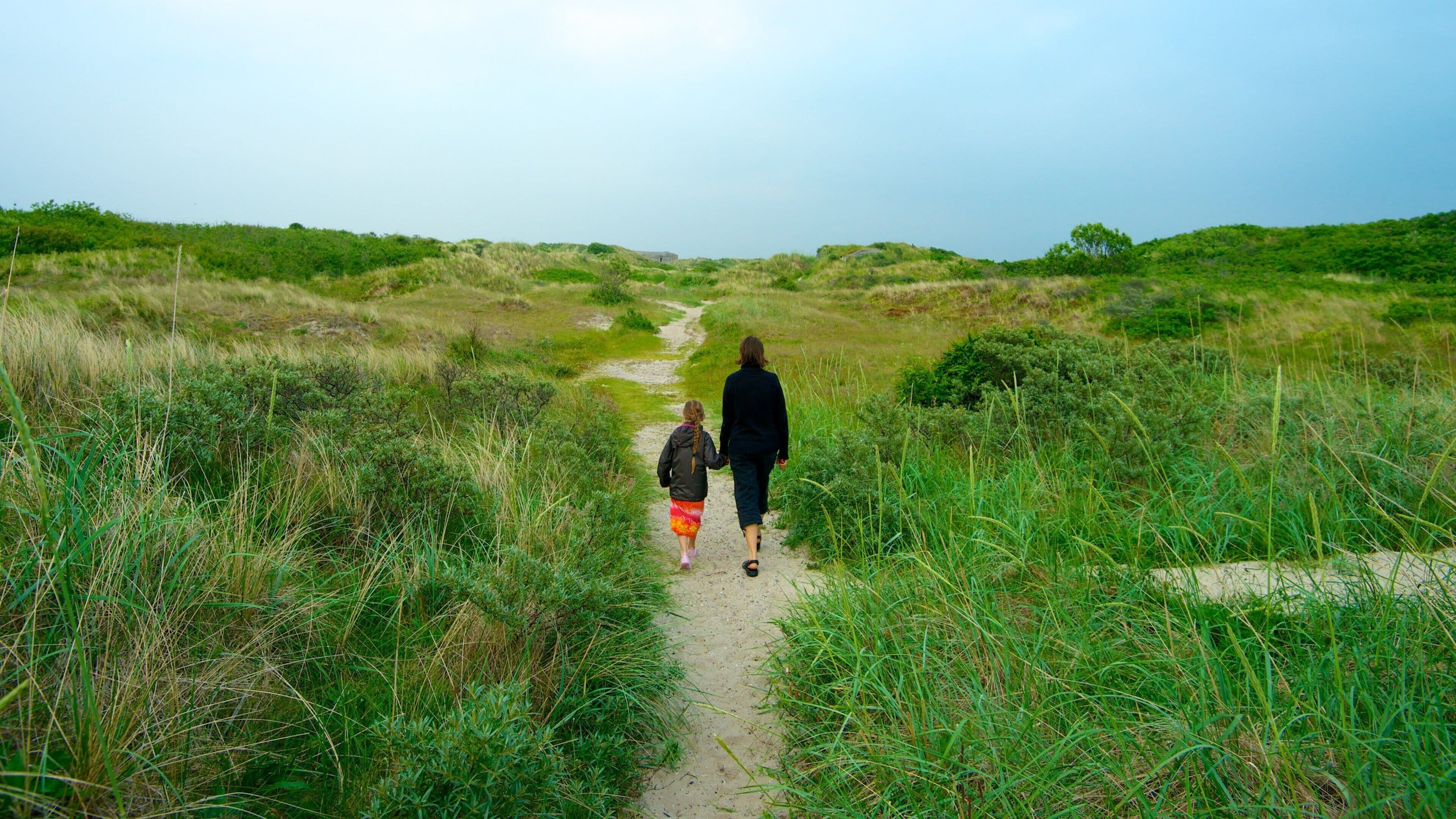 Grenen featuring general coastal views and landscape views as well as a family