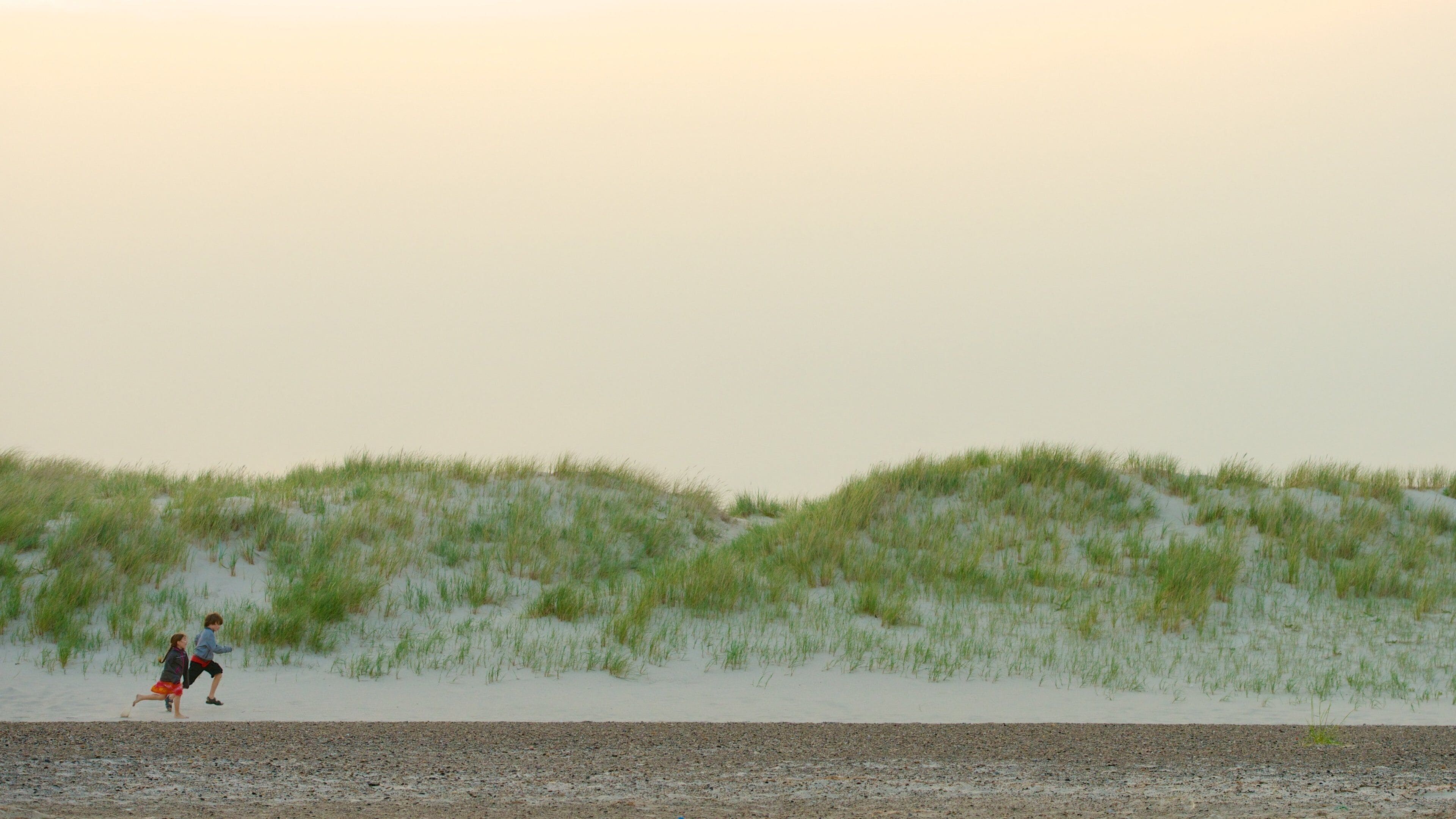 Grenen which includes a beach as well as children