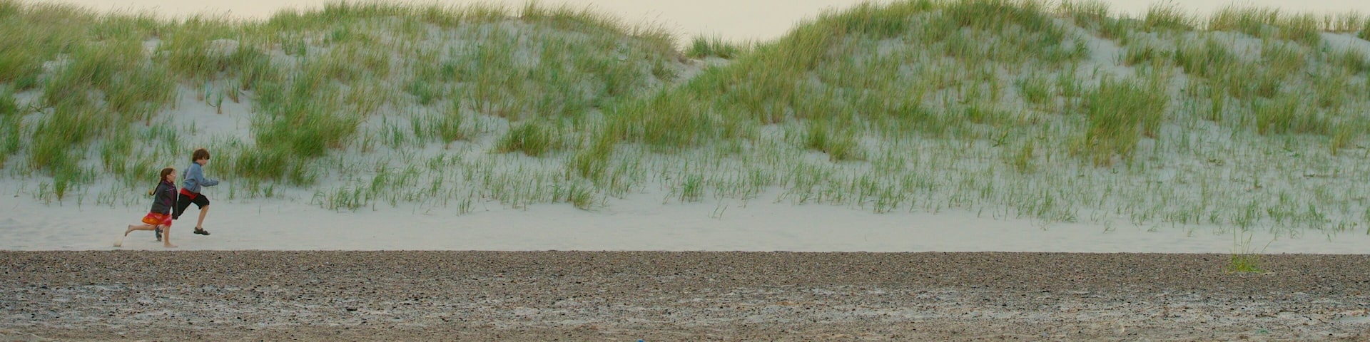 Grenen which includes a beach as well as children