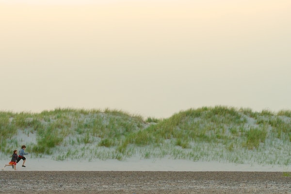 Grenen showing a sandy beach as well as children