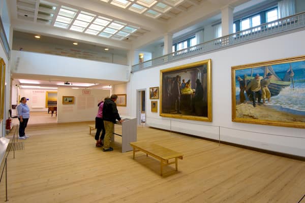 Musée de Skagen montrant art et vues intérieures