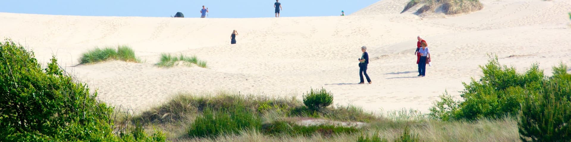 RÄbjerg Mile montrant vues littorales et plage