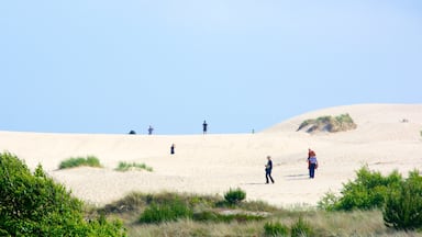 A sandy dune landscape with people hiking.