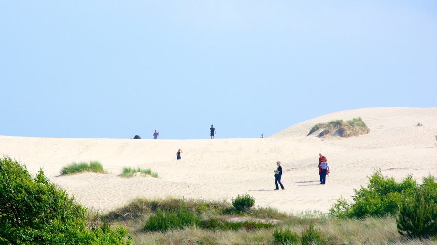 Raabjerg Mile showing general coastal views and a sandy beach