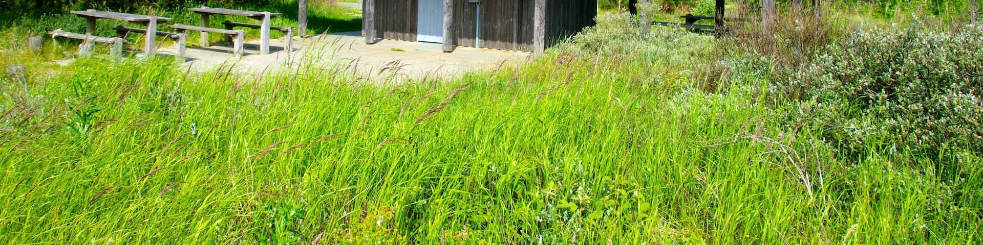 Raabjerg Mile showing tranquil scenes