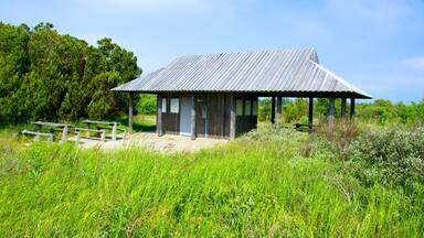 RÄbjerg Mile montrant scÚnes tranquilles